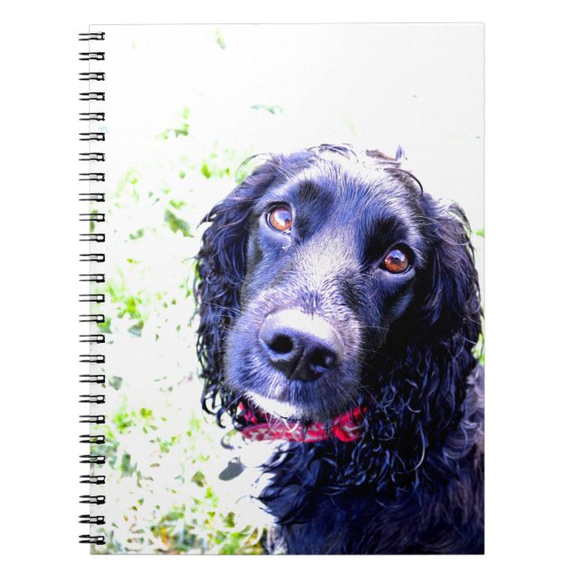 Cocker Spaniel Notizblock (Vorderseite)