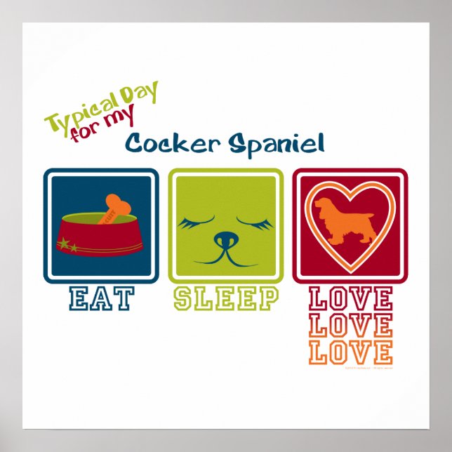 Cocker Spaniel Poster (Vorne)