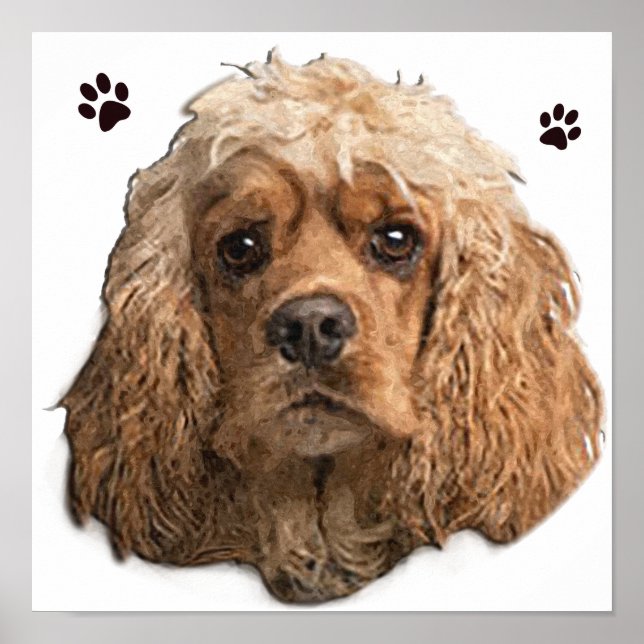 Cocker Spaniel Poster (Vorne)