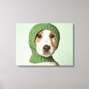 Cocker Spaniel Puppy Wear Cool Cap Leinwanddruck