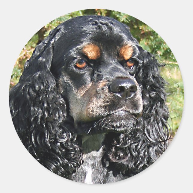 Cocker Spaniel Runder Aufkleber (Vorderseite)