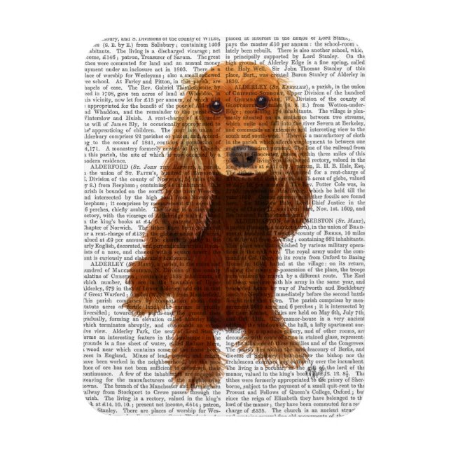 Cocker Spaniel Schlicht Magnet (Vertikal)