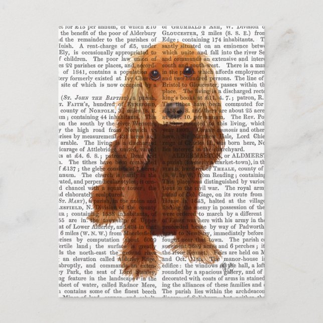 Cocker Spaniel Schlicht Postkarte (Vorderseite)