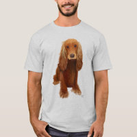 Cocker Spaniel Schlicht