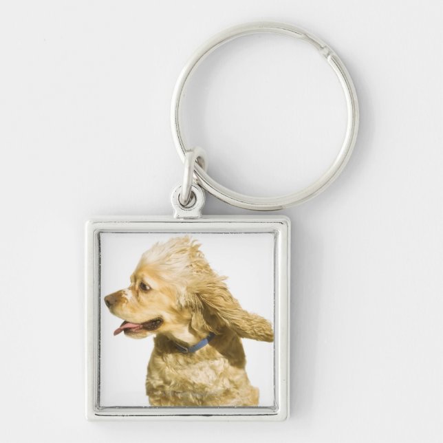 Cocker spaniel schlüsselanhänger (Vorne)