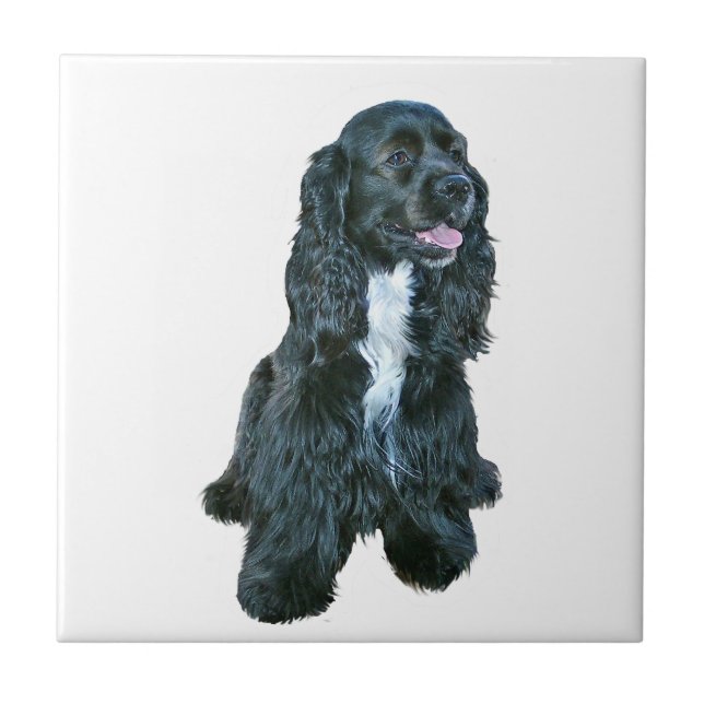 Cocker Spaniel - Schwarz #2 Fliese (Vorderseite)
