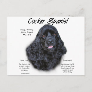 Cocker Spaniel (schwarz) Geschichtsdesign Postkarte