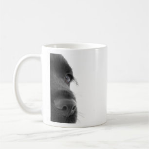 Cocker spaniel tasse