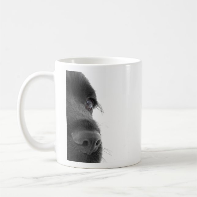 Cocker spaniel tasse (Links)