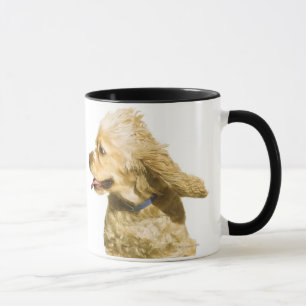 Cocker spaniel tasse
