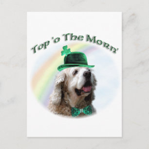 Cocker Spaniel Top of the Morn'; St. Patrick's Day Postkarte