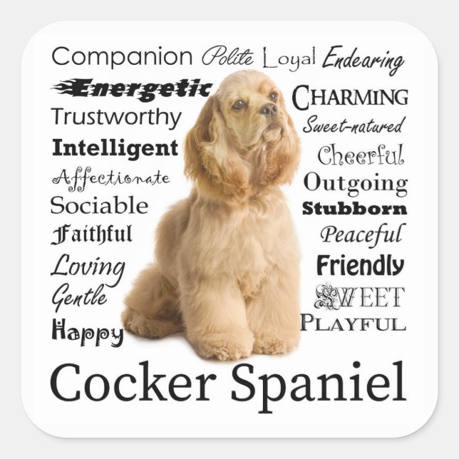 Cocker Spaniel Traits Stickers (Vorderseite)