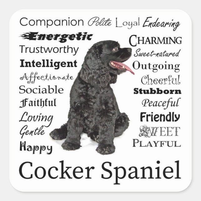 Cocker Spaniel Traits Stickers (Vorderseite)