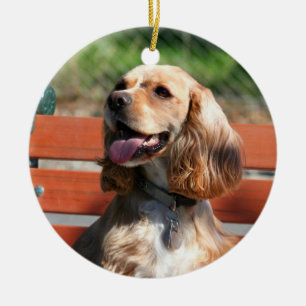 Cocker spaniel-Verzierung Keramik Ornament