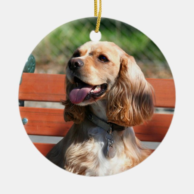 Cocker spaniel-Verzierung Keramik Ornament (Vorne)