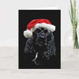 Cocker spaniel-Weihnachten Feiertagskarte