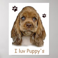 Cocker Spaniel Welpe Poster