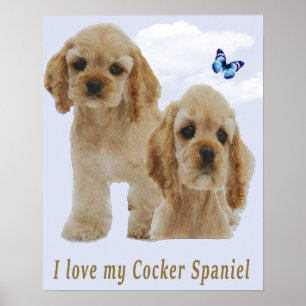Cocker-Spaniel-Welpen-Poster Poster