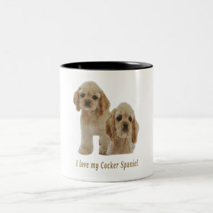 Cocker spaniel Welpen Zweifarbige Tasse