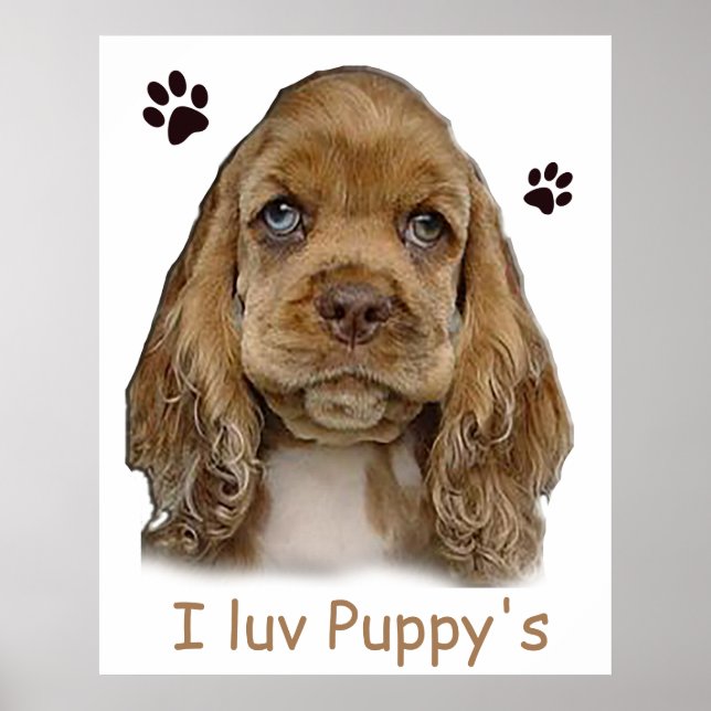 Cocker Spaniel Welpenposter Poster (Vorne)