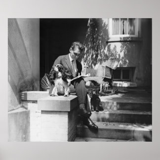 Cocker-Spaniels bekommen etwas Sonne, 1920er Poster
