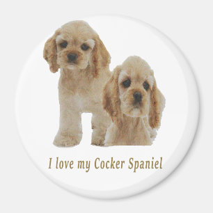 Cocker-Spaniels Magnet
