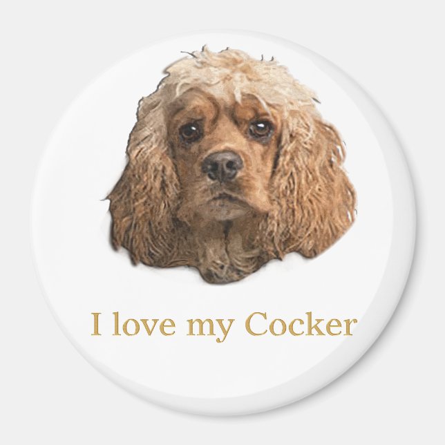 Cocker-Spaniels Magnet (Vorne)