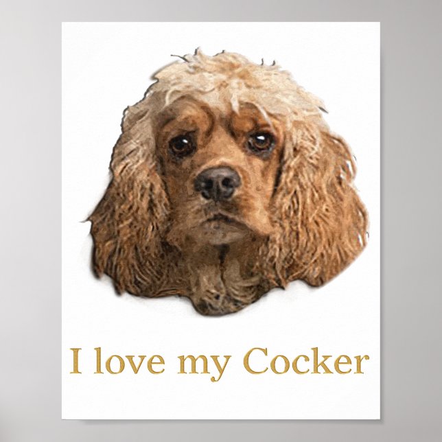 Cocker-Spaniels Poster (Vorne)