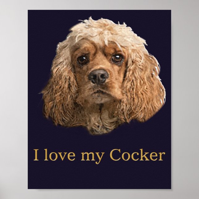 Cocker-Spaniels Poster (Vorne)