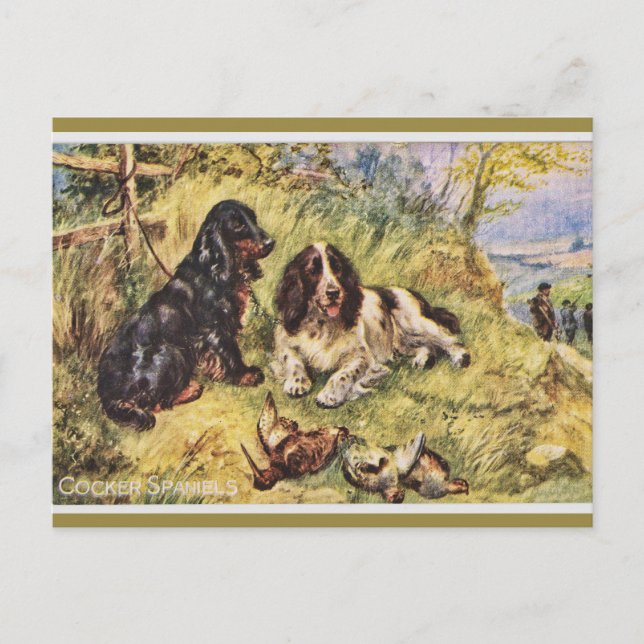 Cocker-Spaniels Postkarte (Vorderseite)
