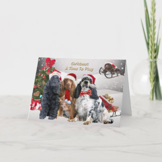 Cocker-Spaniels Weihnachten zum Spielen