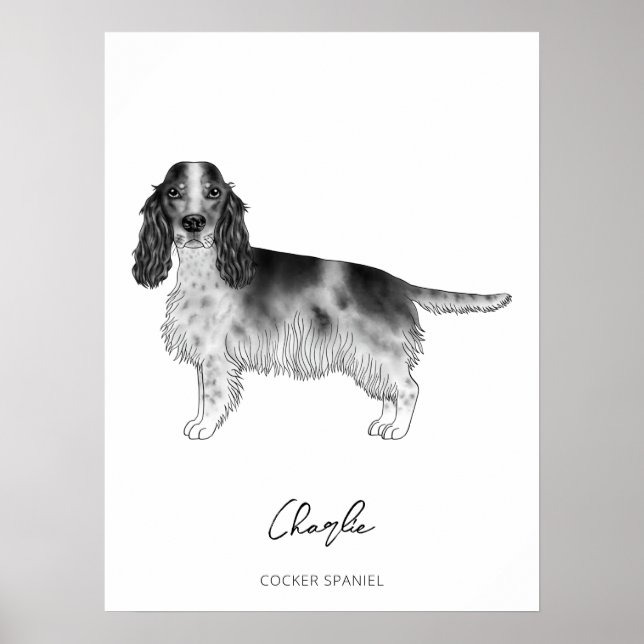 Cocker Spanisch in Schwarz, Weiß und Zoll Poster (Vorne)