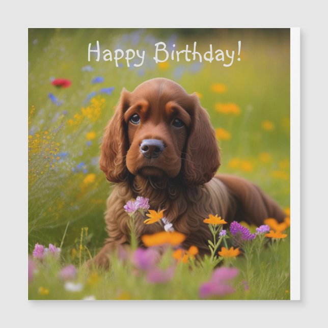 Cocker Spanisch Magnetkarte (Vorderseite)