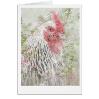 Cockeral in den Blumen