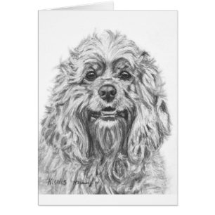 Cockerspaniel-Holzkohlen-Zeichnen