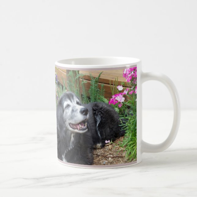Cockerspaniel-Muffin-Tasse Tasse (Rechts)