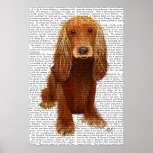 Cockerspaniel schlicht poster