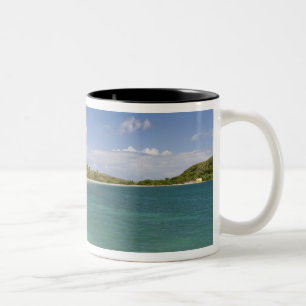 Cockleshell Bay, Südost-Halbinsel, St. Kitts, Zweifarbige Tasse