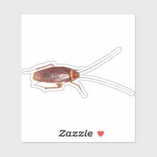 Cockroach Roach Aufkleber