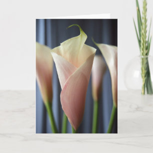 Cocktail Party White Calla Lily Foto Mitteilungska Karte
