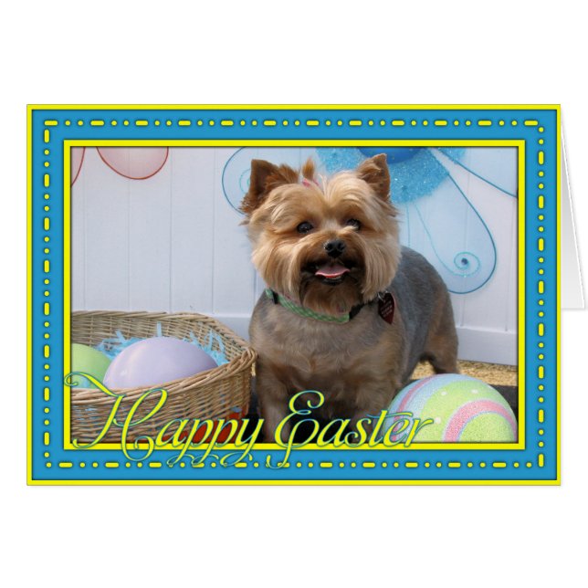 Coco Chanel - Yorkie -4 (Vorderseite (Horizontal))