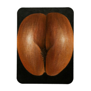 Coco de Mer 2010 Magnet
