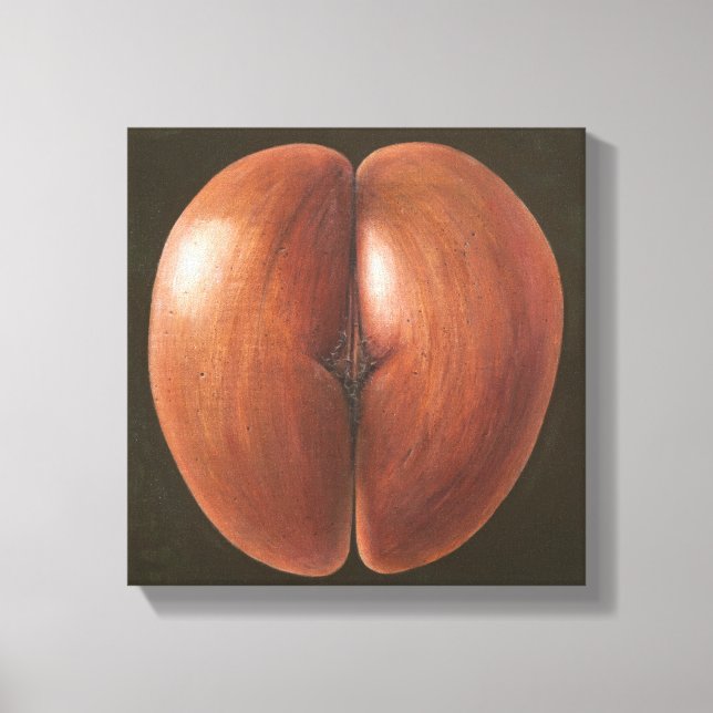 Coco de Mer Maldives 2012 Leinwanddruck (Vorderseite)