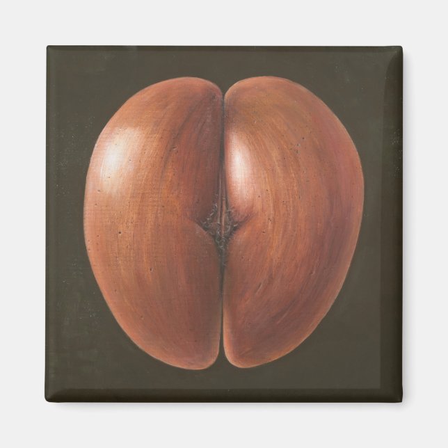 Coco de Mer Maldives 2012 Magnet (Vorne)