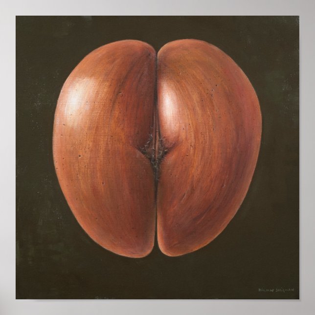 Coco de Mer Maldives 2012 Poster (Vorne)