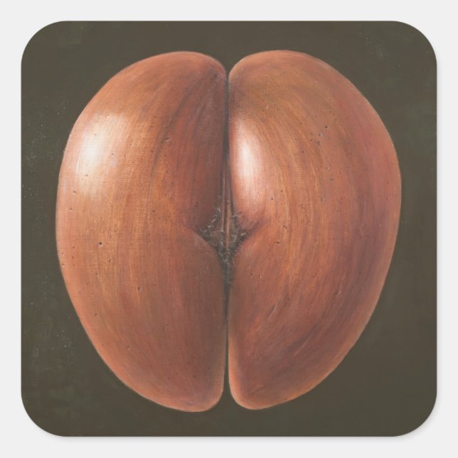 Coco de Mer Maldives 2012 Quadratischer Aufkleber (Vorderseite)