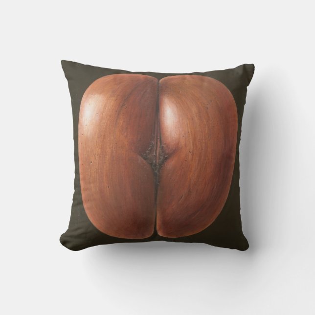 Coco de Mer Malediven 2012 Kissen (Vorderseite)