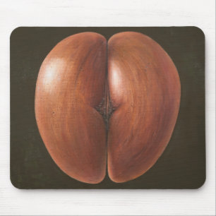 Coco de Mer Malediven 2012 Mousepad