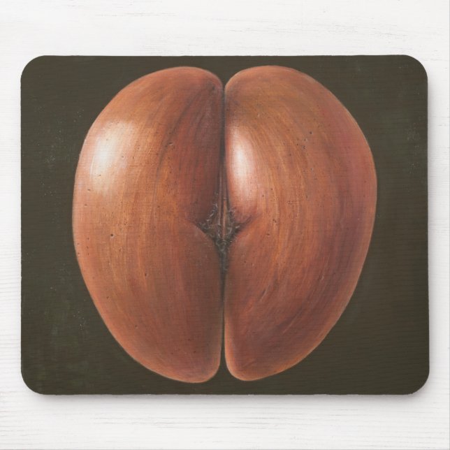 Coco de Mer Malediven 2012 Mousepad (Vorne)