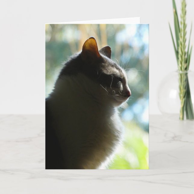 "Coco in the Window"  Grußkarte Karte (Vorderseite)